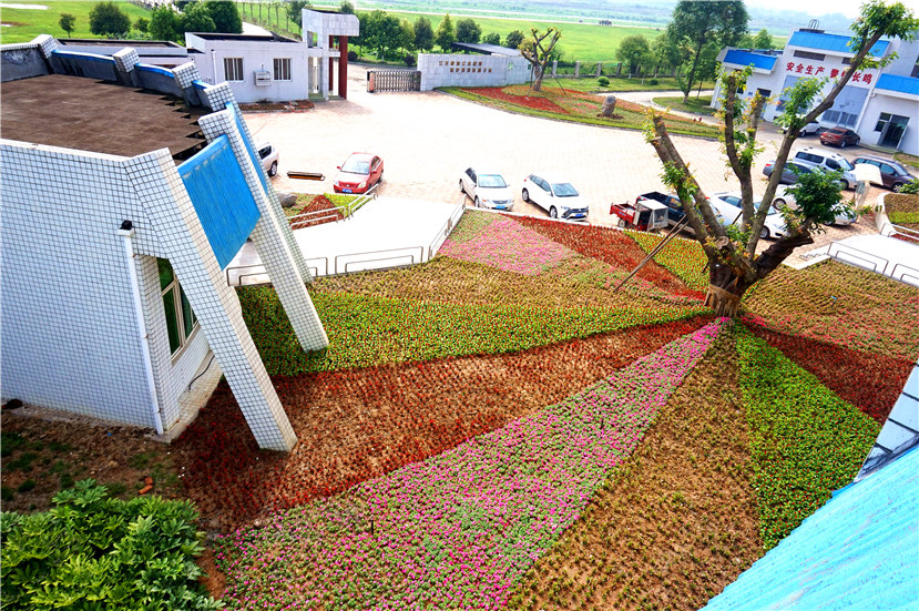 市目標(biāo)督查室督查杰陽排水公司“花園式工廠”建設(shè)工作